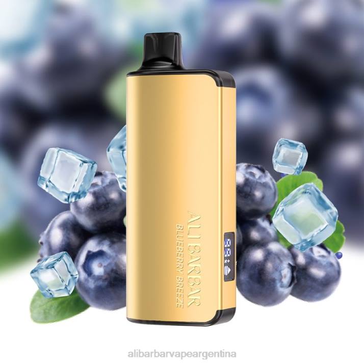 Alibarbar Vape Review brisa de arándanos - Alibarbar Ingot 20000 vaporizadores desechables 2VF232